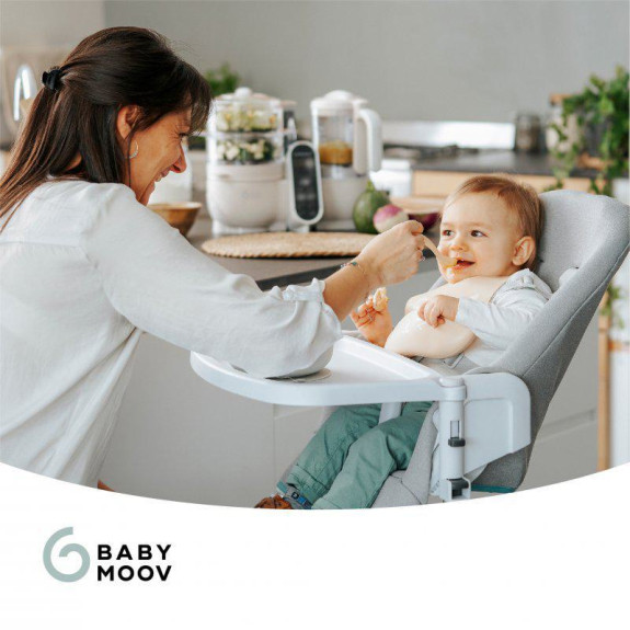 Multifunkční přístroj Nutribaby+ Babymoov Mineral Beige