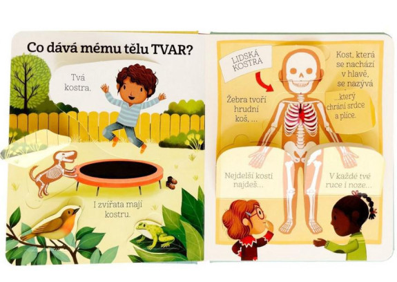Kuk pod okénko - Co se děje v mém těle?