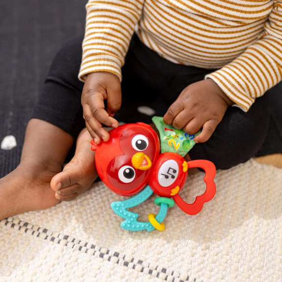 Hračka hudební senzorická Roxy's Bright Flight™ 3 m+ Baby Einstein
