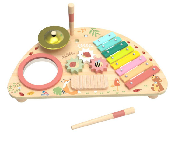 Multifunkční hudební deska 2Kids Toys 