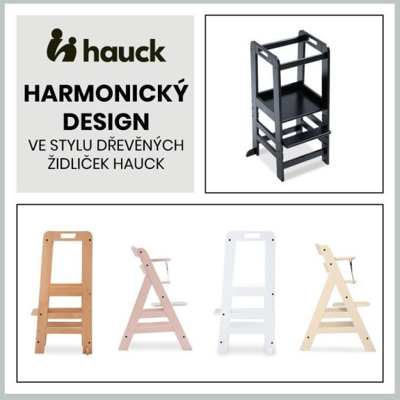 Hauck Učící věž Learn N Explore