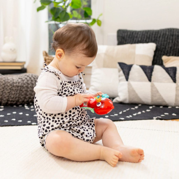 Hračka hudební senzorická Roxy's Bright Flight™ 3 m+ Baby Einstein