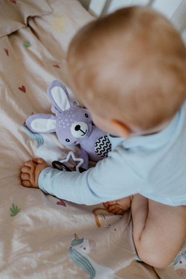 Chrastítko plyš 30 cm závěs na postýlku/kočárek 0 m+ babyted