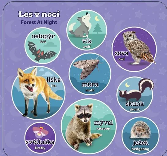 Vtech Mých 100 zvířátek - CZ