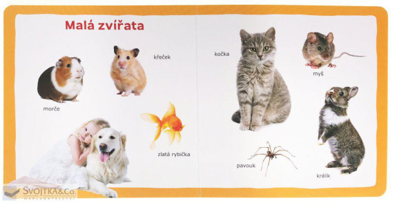 Svojtka Mých prvních 100 slov