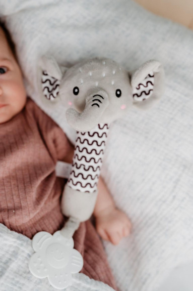 Pískátko/kousátko plyš 25 cm 0 m+ Babyted