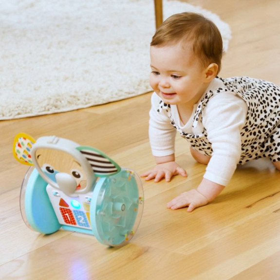 Hračka hudební interaktivní Chase & Tap Earl™ 6 m+ Baby Einstein
