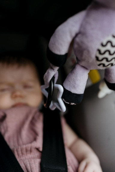Chrastítko plyš 30 cm závěs na postýlku/kočárek 0 m+ babyted