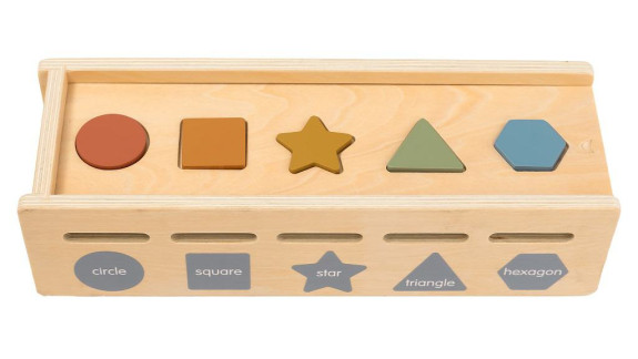 Motorická vkládačka Třídění tvarů a barev 2Kids Toys