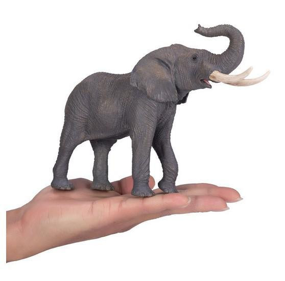 Mojo Slon africký