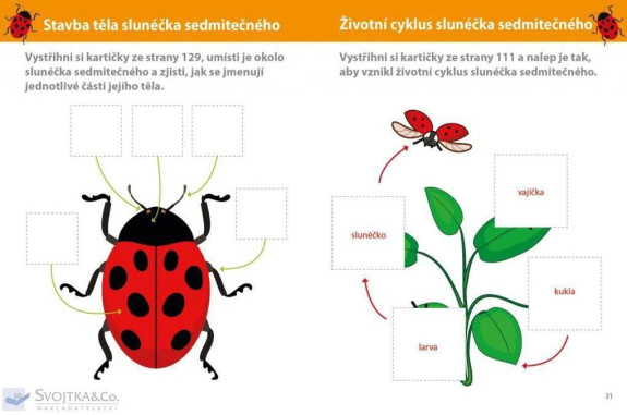 Můj velký sešit Montessori objevuj svět