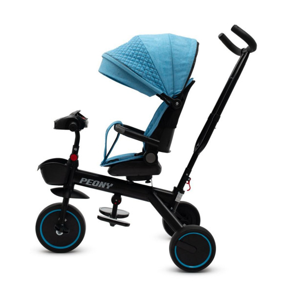 Dětská tříkolka Peony Eva Baby Mix