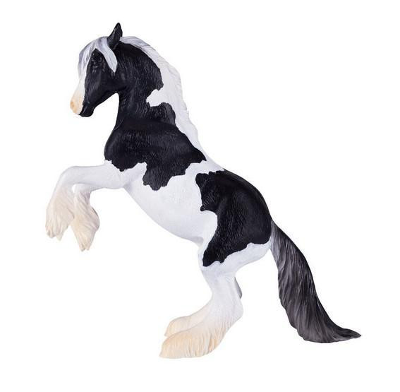 Mojo Hřebec Gypsy Vanner