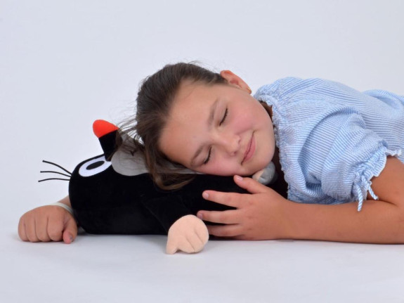 Krtek 25 cm, minipolštářek