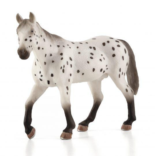 Mojo Appaloosa hřebec
