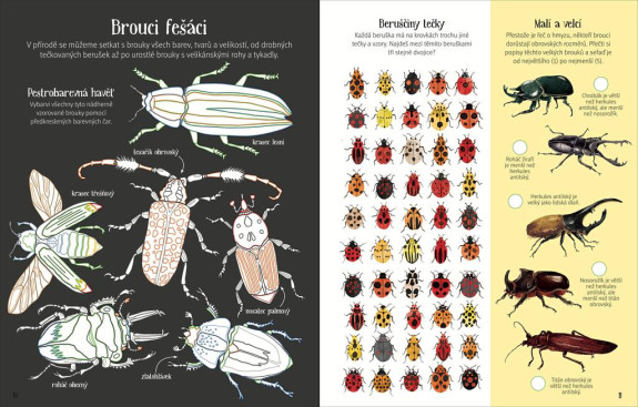 Příroda - Kniha aktivit