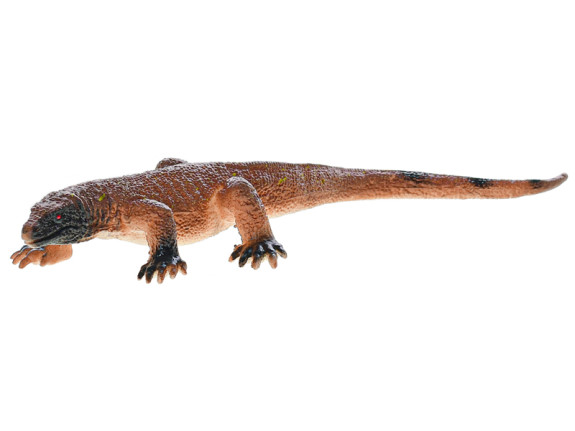 Ještěrka 12-23 cm