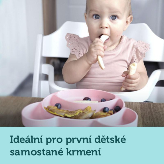 Silikonový dělený talíř s přísavkou Medvídek Canpol babies