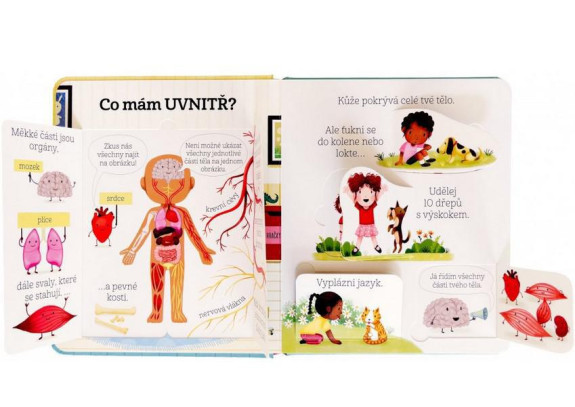 Kuk pod okénko - Co se děje v mém těle?