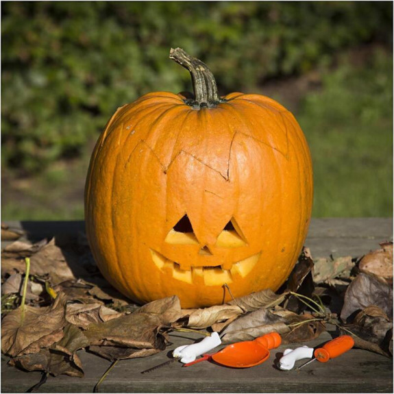 Sada 5 nástrojů na vyřezávání halloweenské dýně