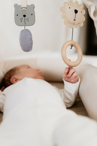 Nastavitelná hrazdička s hračkami a bílým šumem 2 v 1 Sleepee