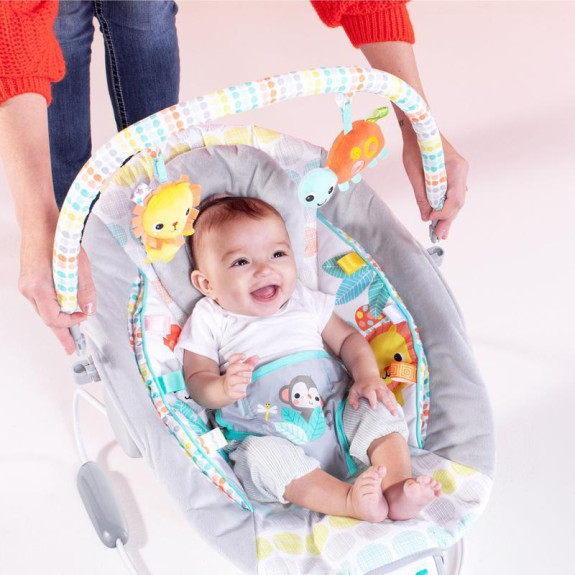 Lehátko vibrující s melodií Whimsical Wild 0 m+ do 9 kg 2019 Bright Starts
