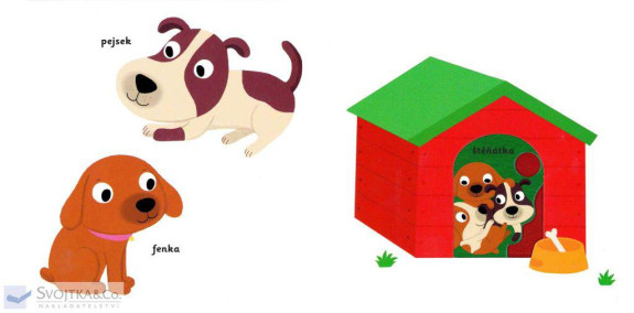 MiniPEDIE – Objevujeme svět! Domácí mazlíčci