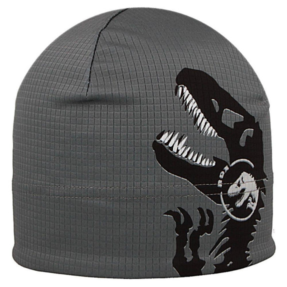 Funkční čepice Picowinter T-rex Šedá RDX