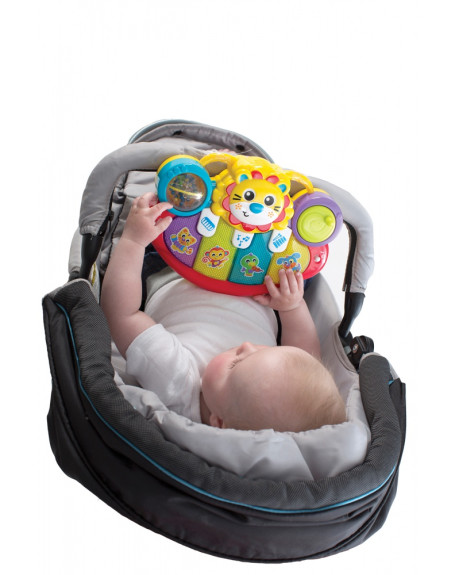 Multifunkční hudební nástroj lvíček Playgro