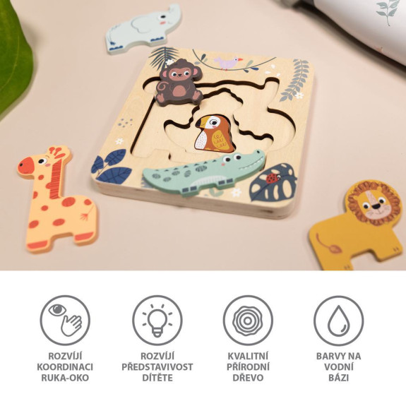 Dřevěné puzzle hlavolam, Wood Zopa