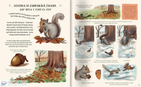 Zpomal a pozoruj