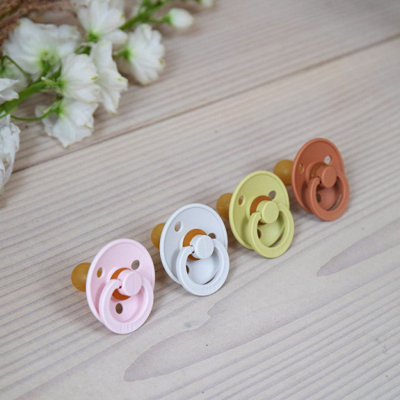 Dudlíky kaučuk 2 ks 0-6 měsíců Colour Bibs