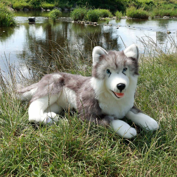 Plyšový pes husky ležící 60 cm Rappa