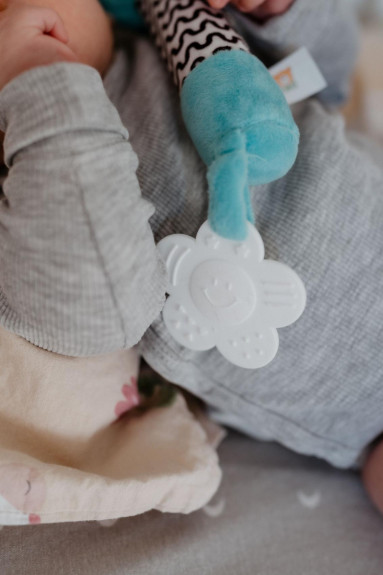 Pískátko/kousátko plyš 25 cm 0 m+ Babyted