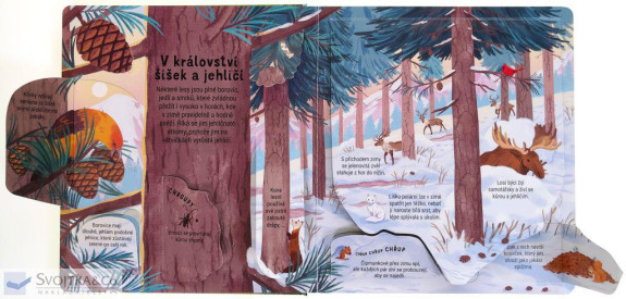 Svojtka Les - Podívej se pod obrázek