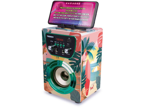 Karaoke reproduktor Tropical Vibes s 2 bezdrátovými mikrofony (Bluetooth)