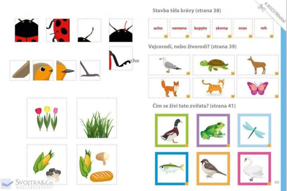 Můj velký sešit Montessori objevuj svět