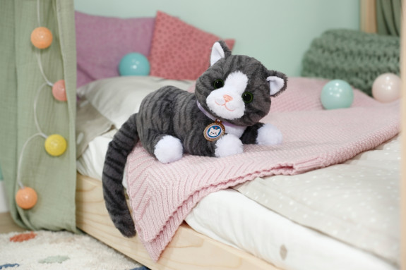 Kočka Cookie s přepravkou Baby born