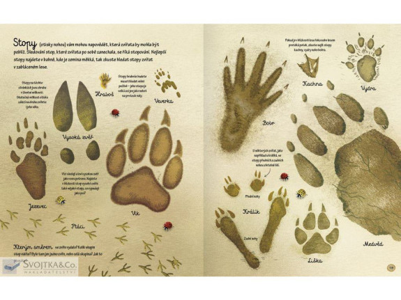 Kniha lesa Emily Bone, Alice James, ilustrace Nat Hues