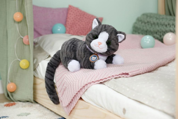 Kočka Cookie s přepravkou Baby born