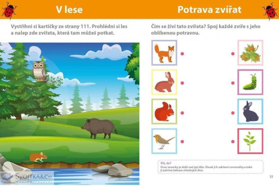 Můj velký sešit Montessori objevuj svět