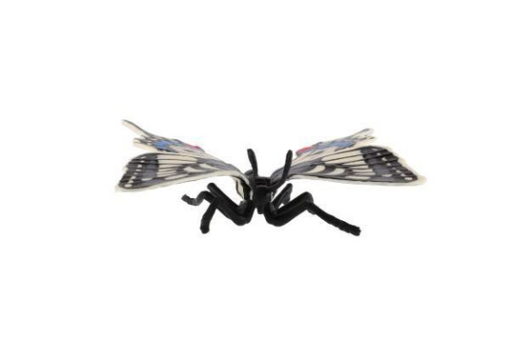 Motýl tropický Papilio/otakárek fenyklový zooted plast 8 cm
