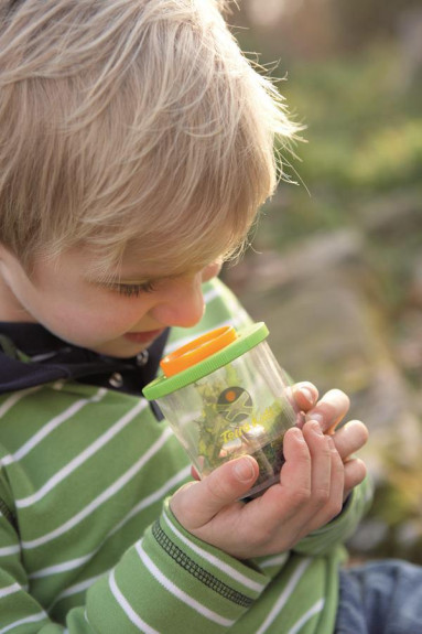 Terra Kids Nádobka s lupou na hmyz s pavoukem Haba