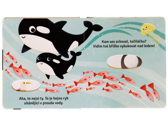 Kam ses schoval, tučňáčku? Sam Taplin