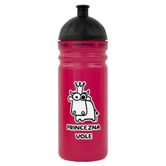Zdravá láhev na pití 0,7 l