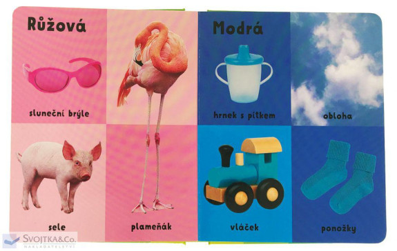 Čísla barvy tvary