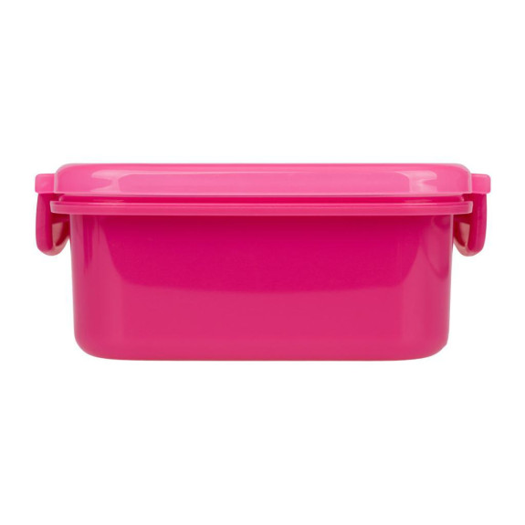 Box na svačinu s přihrádkami Flamingo Baagl