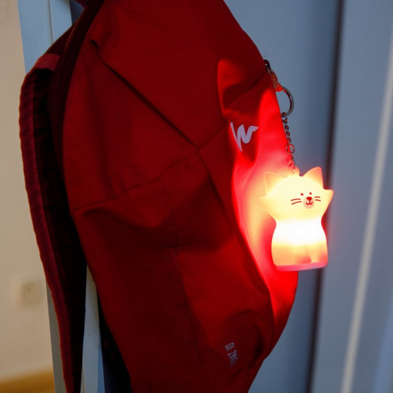 Silikonový přívěsek GioKeyring InnoGio
