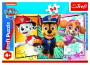 Puzzle Tlapková patrola 54 dílků mini