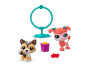 Littlest Pet Shop 2 figurky - 4 druhy